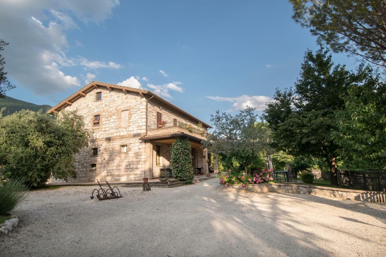 Agriturismo Il Giardino Dei Ciliegi Passaggio di Assisi ภายนอก รูปภาพ