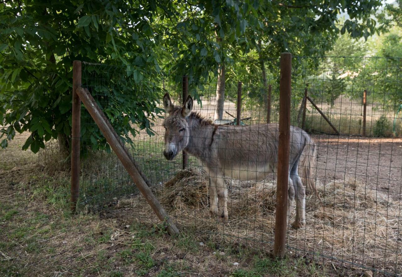 Agriturismo Il Giardino Dei Ciliegi Passaggio di Assisi ภายนอก รูปภาพ